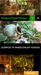 Mobile Screenshot of naturalpansiyon.com